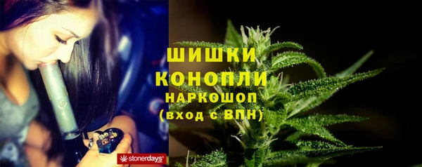 дмт Туринск