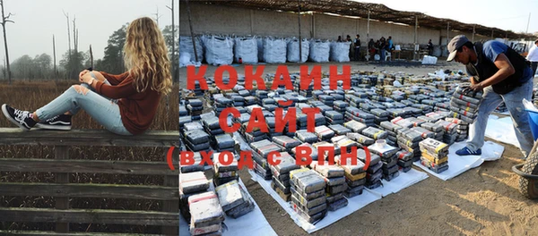 прущие крисы Балахна