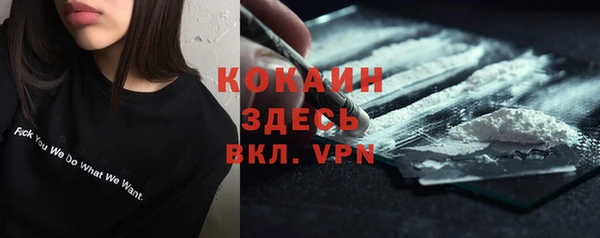дмт Туринск