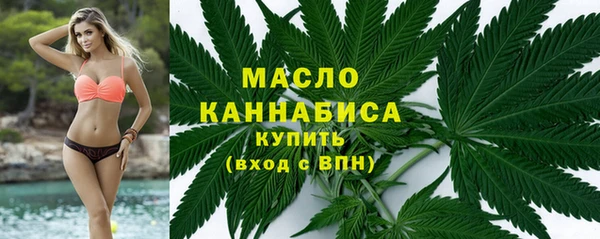 дмт Туринск