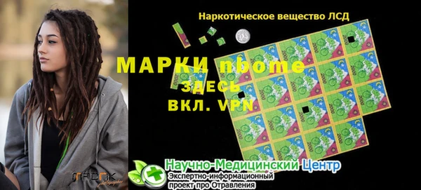 прущие грибы Белоозёрский