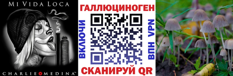 Галлюциногенные грибы Magic Shrooms  ОМГ ОМГ вход  Ярцево  купить наркотик 